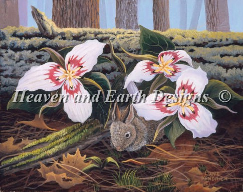 Rabbit With Trilliums - Click Image to Close